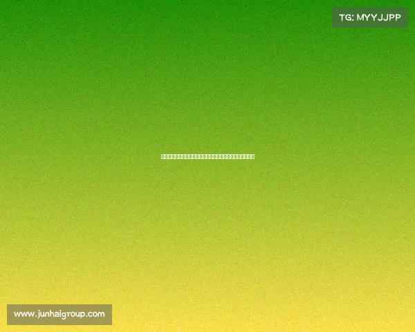 济南体育场足球赛事激情开战绿茵场上球员拼搏观众喝彩不断